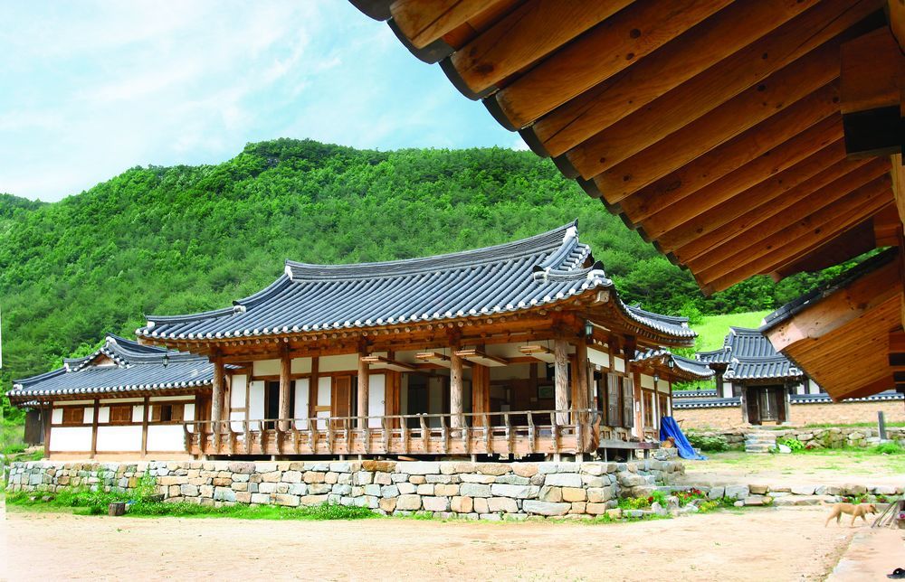 Hotel Nongamjongtaek Andong Exteriér fotografie